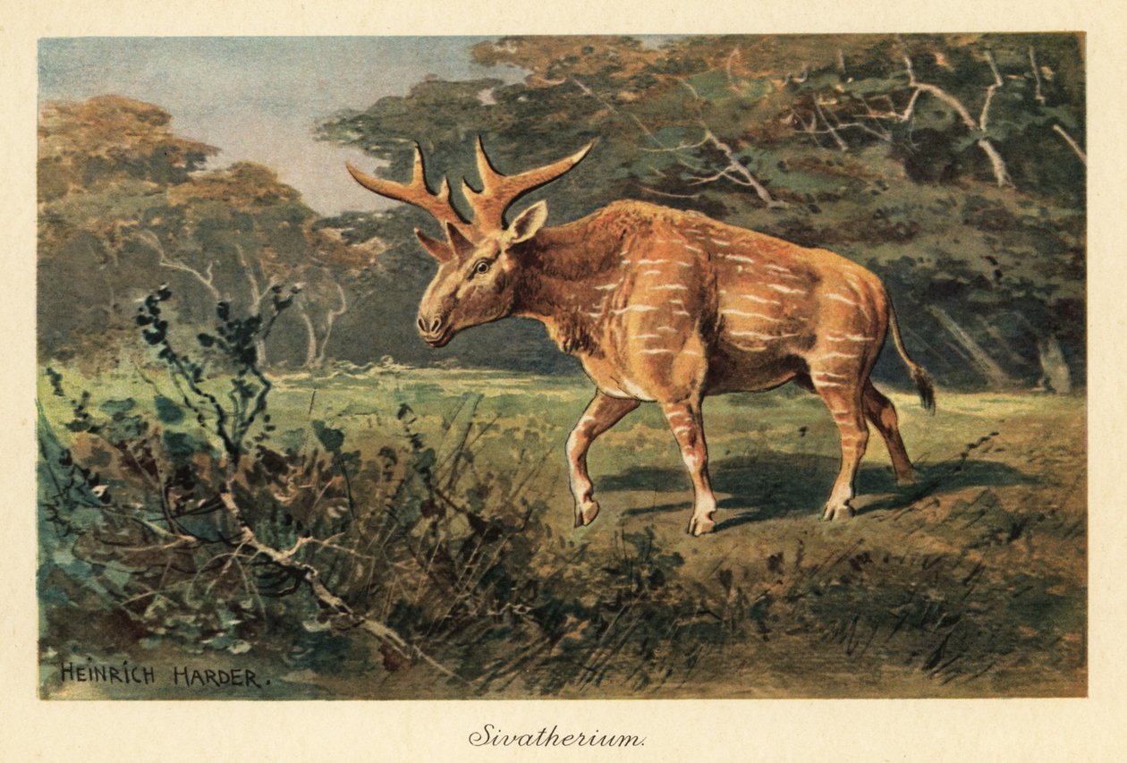 Sivatherium giganteum in a jungle clearing.   1401010   zh       chinese Successfully Translated  Original: Andrew Wilkinson Translat: Andrew Wilkinson 1437236 zh chinese Successfully Translated Original: Venus Bathing Translat: Venus Bathing 1436408 zh ch 作者 亨利·哈德