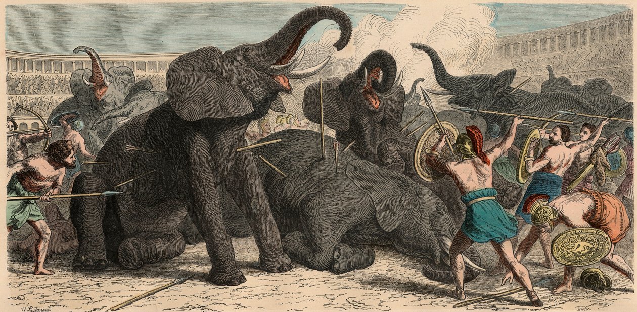 古罗马：1866年圆形剧场杀害了大象 作者 海因里希·勒特曼