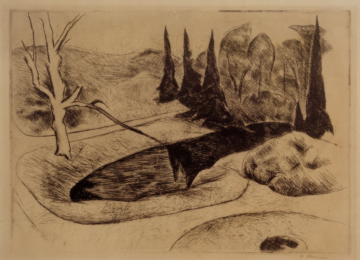 迪尔伯恩公园，1914年 作者 海因里希·瑙恩（Heinrich Nauen）