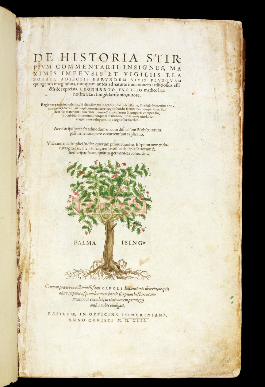 由Leonard Fuchs（1501-66）撰写的&39;De Historia Stirpium Commentarii Insignes&39;的标题页，由Rodolphe Speckle（第1550页）刻，出版于1542年 作者 海因里希和迈尔（Albert Fullmaurer）