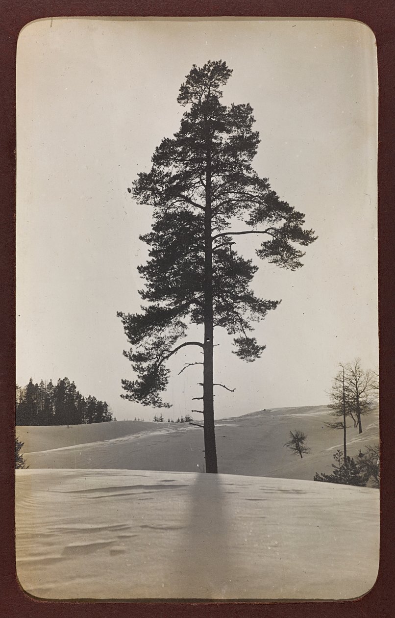第一次世界大战：1914-1916年德军入侵时的乌克兰。雪中风景（黑白照片 作者 英雄公墓Dsessentniki（At ..至）
