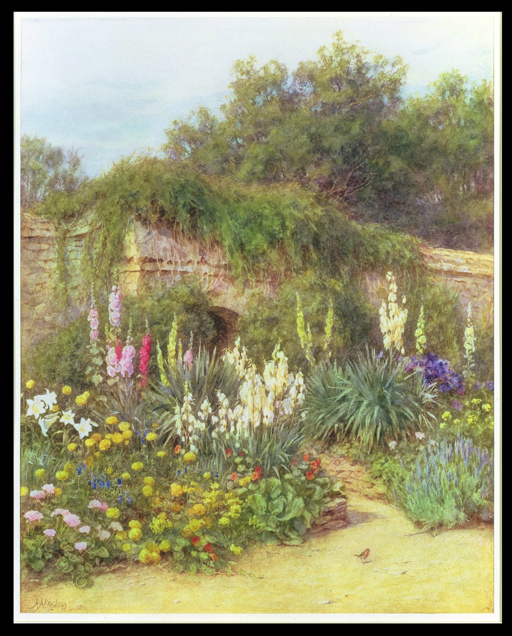 在Munstead Wood Garden，Gertrude Jekyll的花园，Godalming，Surrey（铅笔和纸上的wc） 作者 海伦阿灵厄姆