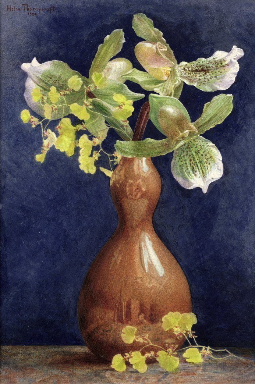铜花瓶中的兰花，1881年（铅笔和纸张上的水粉加高了） 作者 海伦·桑尼克罗夫特（Helen Thornycroft）