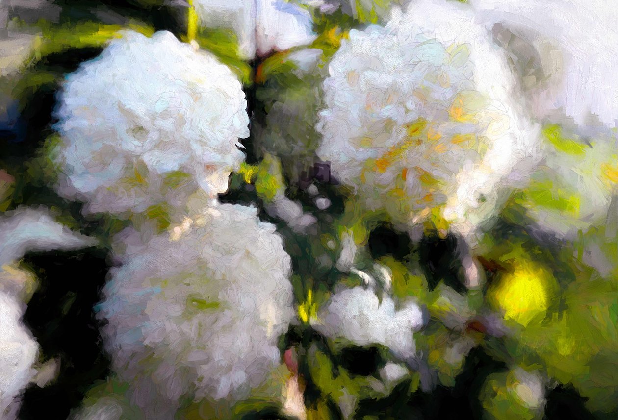 Big Blowsy Blooms，2018， 作者 海伦·怀特