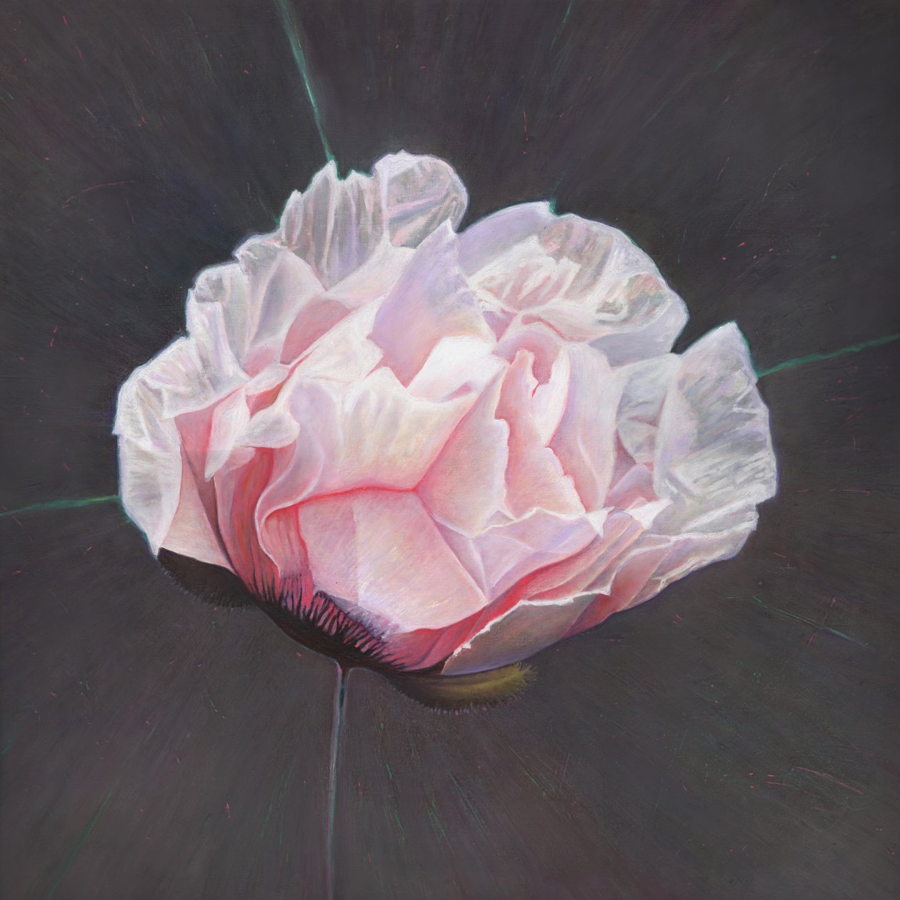 新兴，2015年， 作者 海伦·怀特