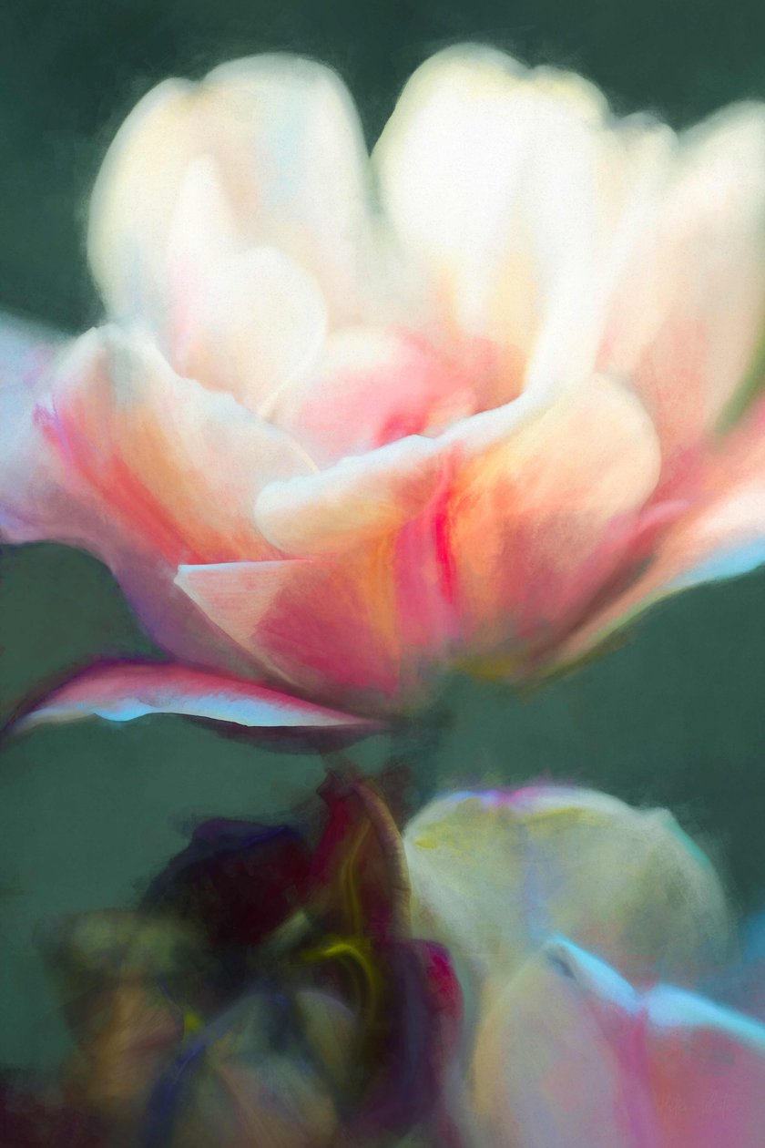 Emercence II，2018， 作者 海伦·怀特