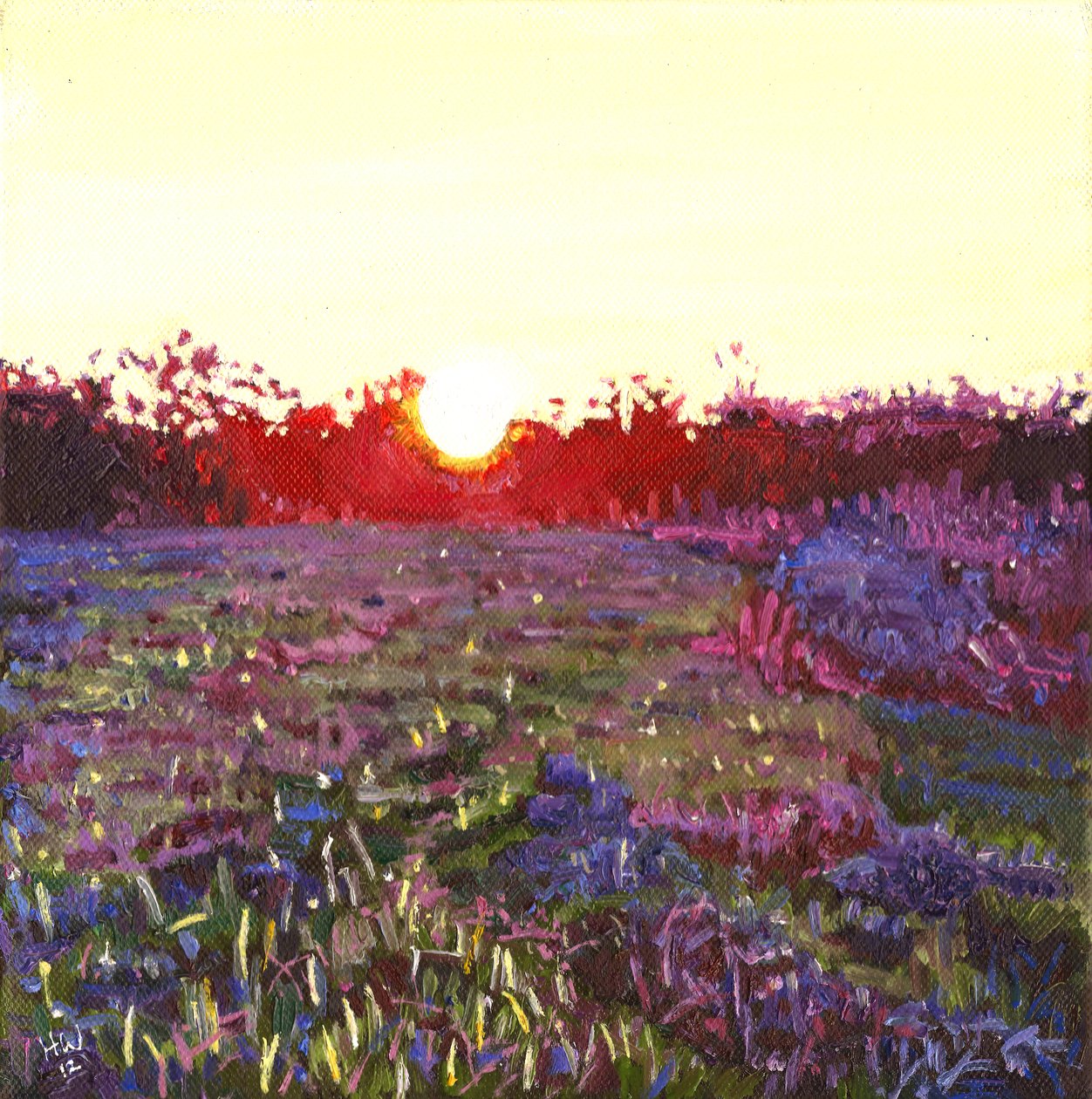 法利日落，2012年， 作者 海伦·怀特