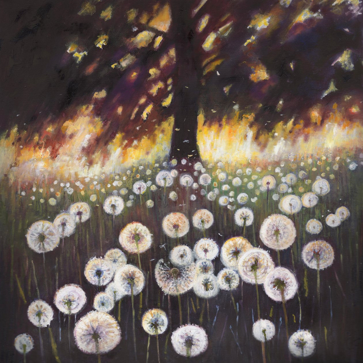 梦想领域，2015年， 作者 海伦·怀特