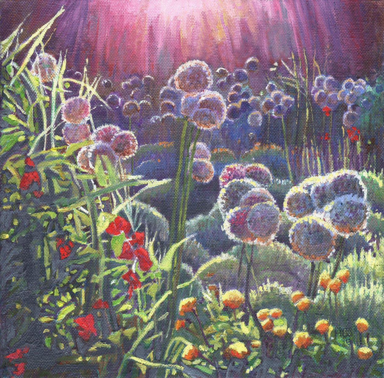 白炽度，2013， 作者 海伦·怀特