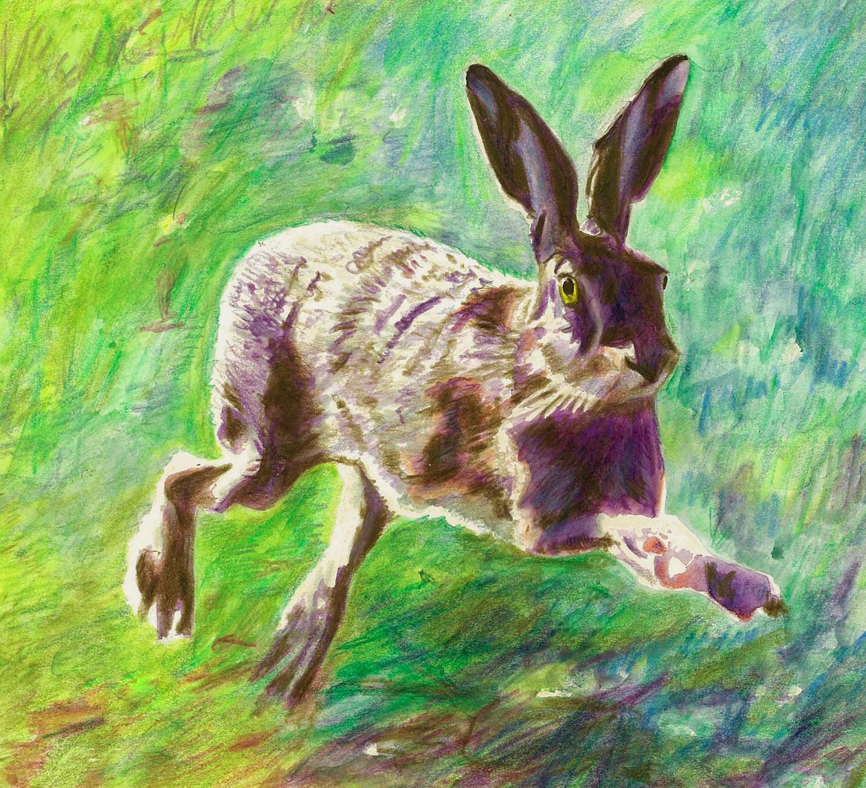 欢乐的野兔，2011年，（彩色铅笔在纸上） 作者 海伦·怀特