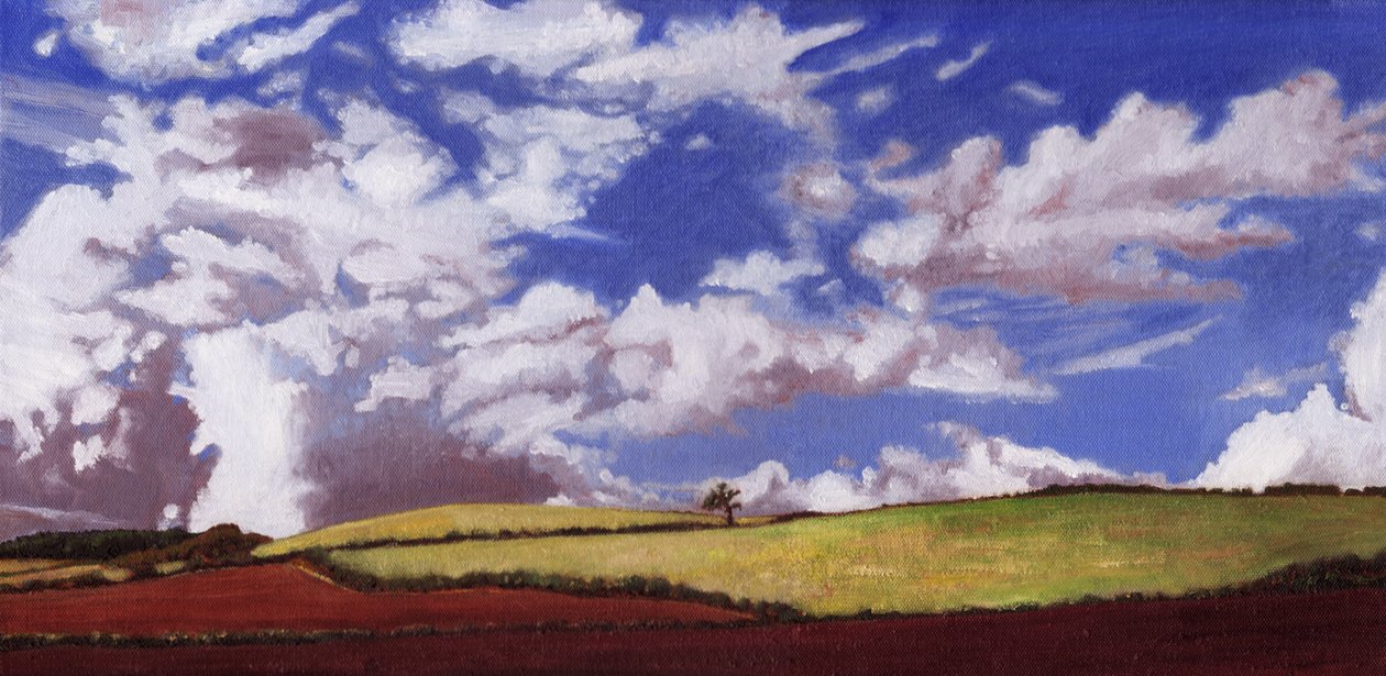 孤树，2012， 作者 海伦·怀特