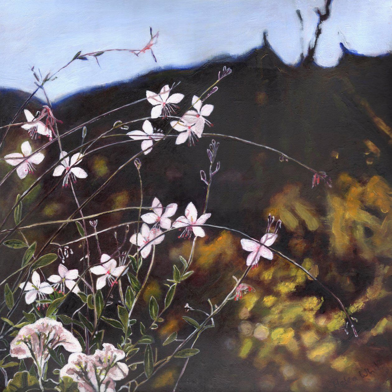 普罗旺斯花园I，2014， 作者 海伦·怀特