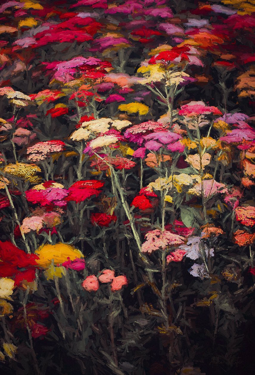 Wildly Colorful，2018， 作者 海伦·怀特
