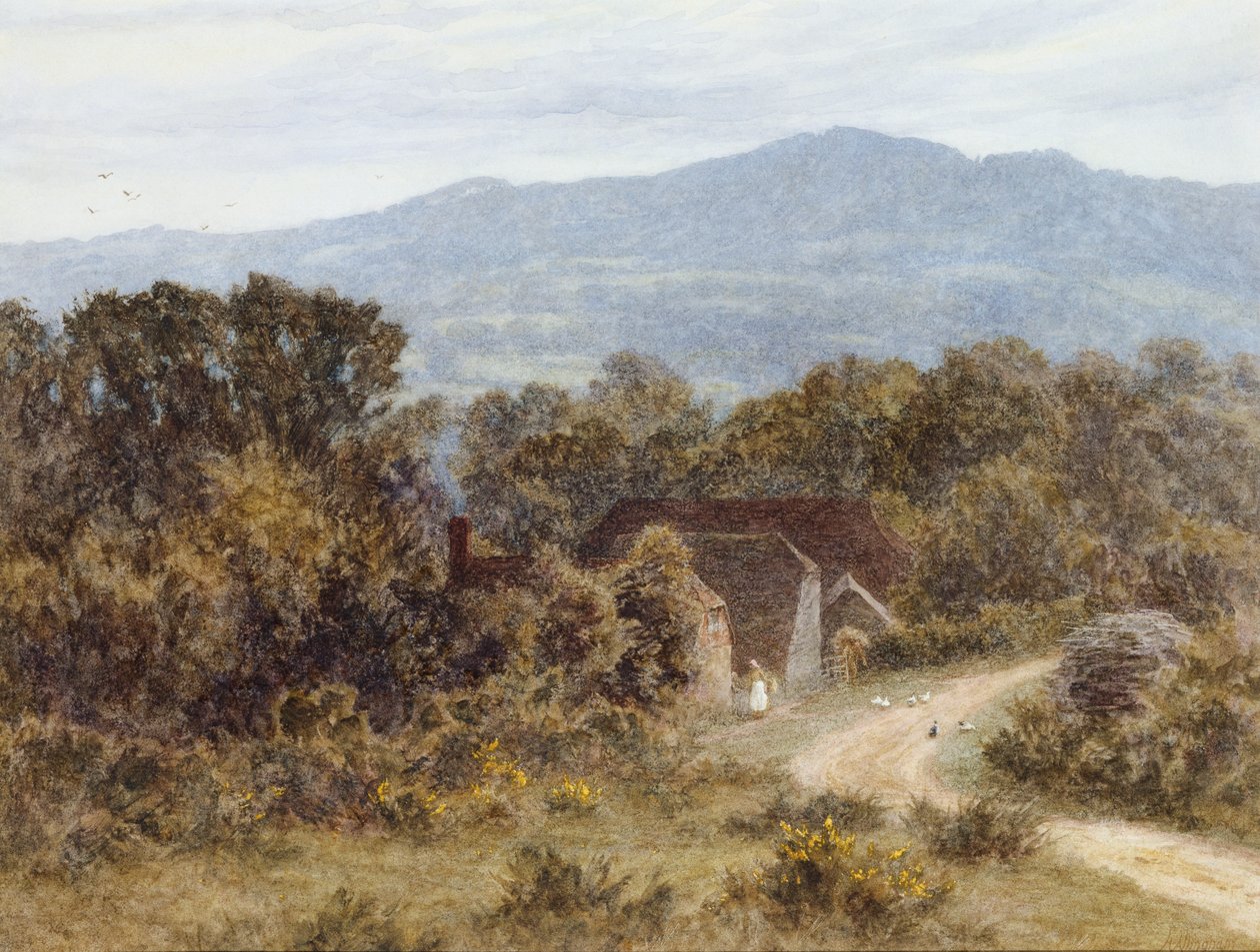 Witley的Sandhills的Hindhead（纸上水彩） 作者 海伦阿灵厄姆