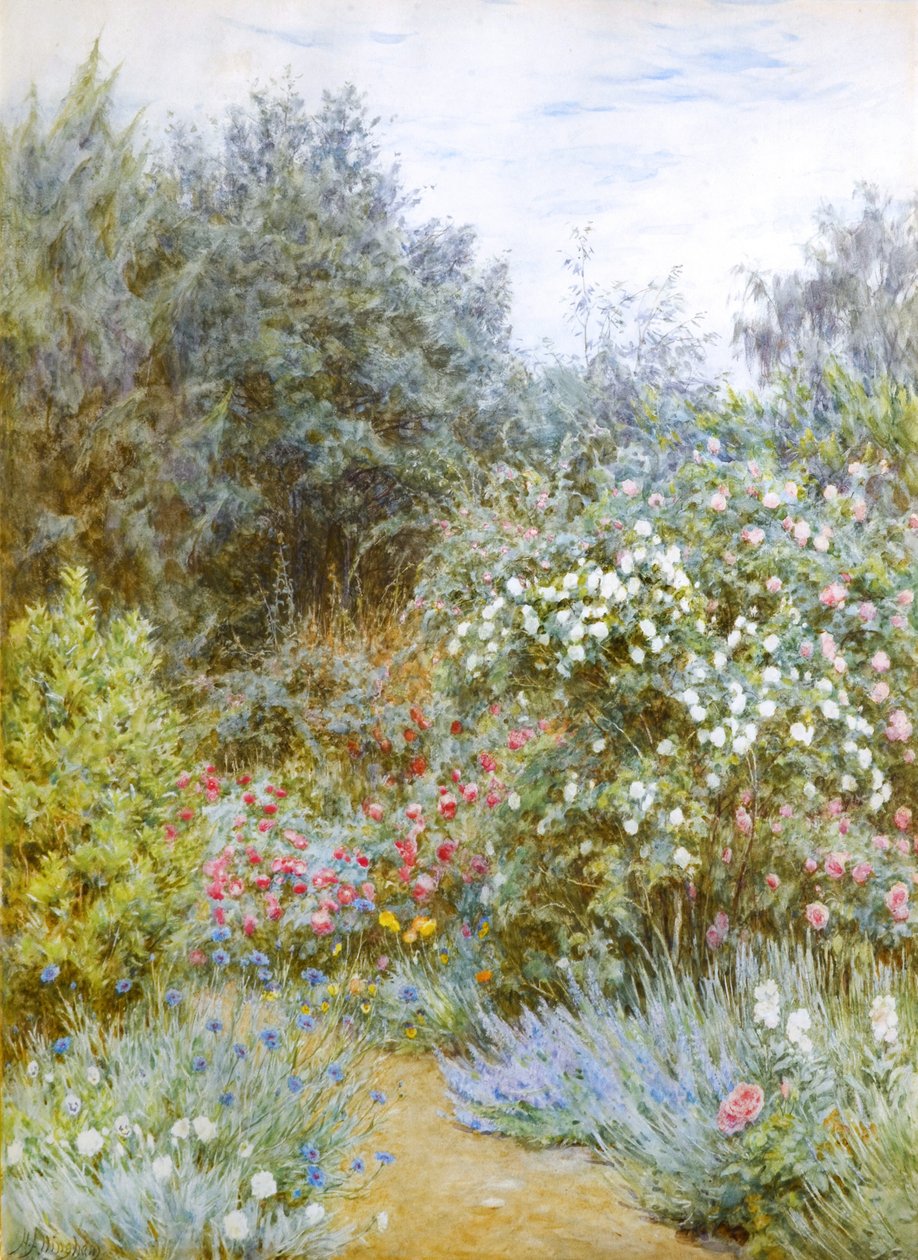 格特鲁德-杰基尔花园中的玫瑰，萨里郡芒斯特德伍德（水彩画） 作者 海伦阿灵厄姆