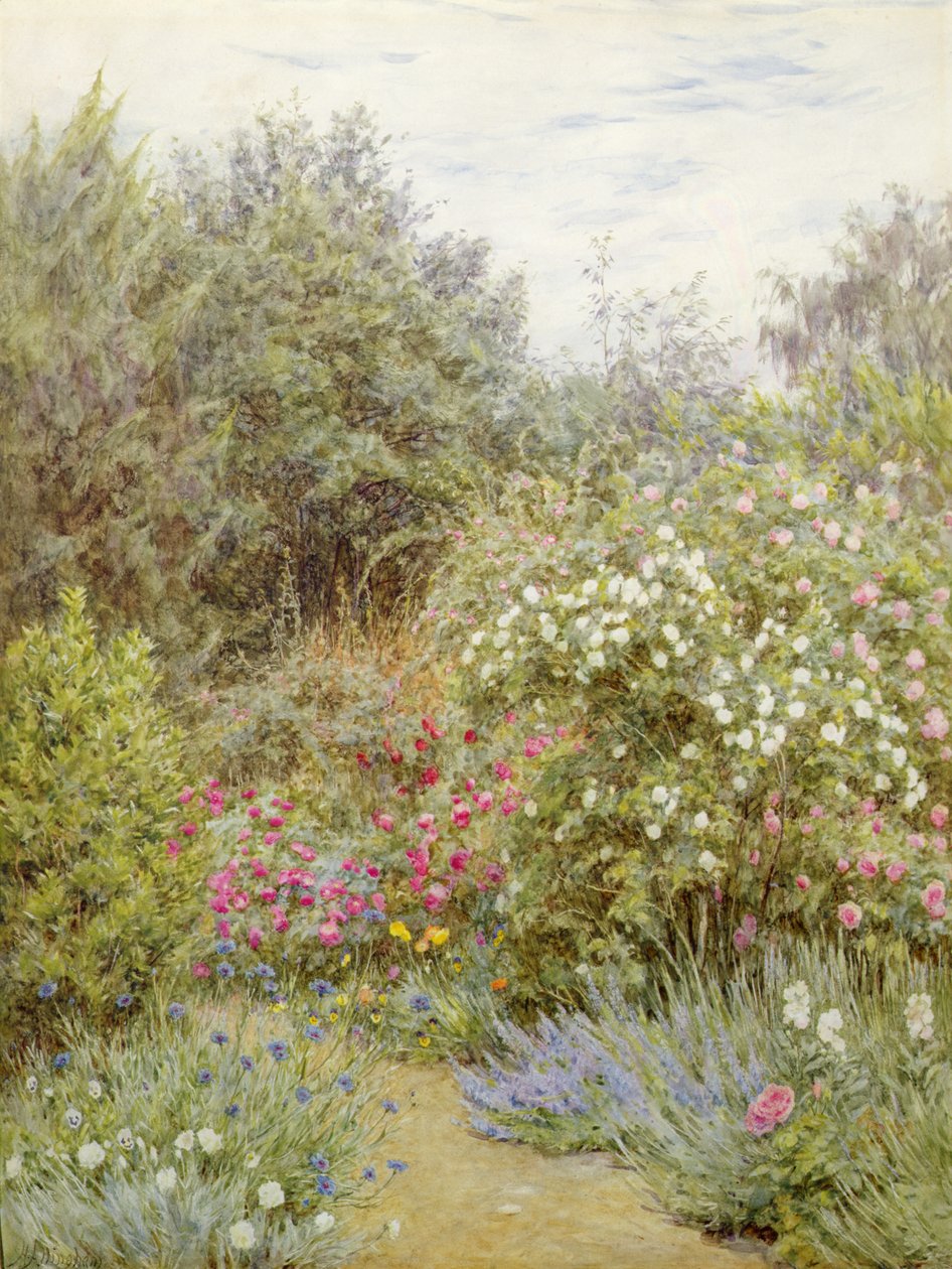 格特鲁德-杰基尔花园的玫瑰，萨里（纸上水彩画） 作者 海伦阿灵厄姆