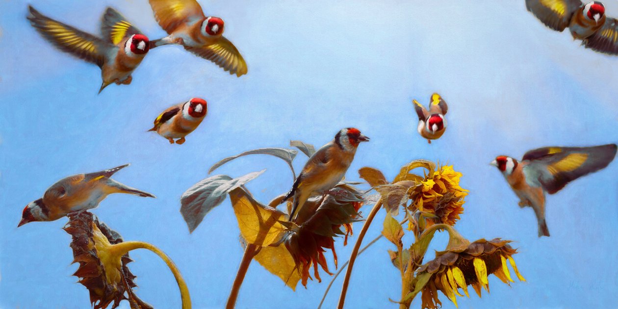A Charm of Goldfinches, 2020 作者 海伦·怀特