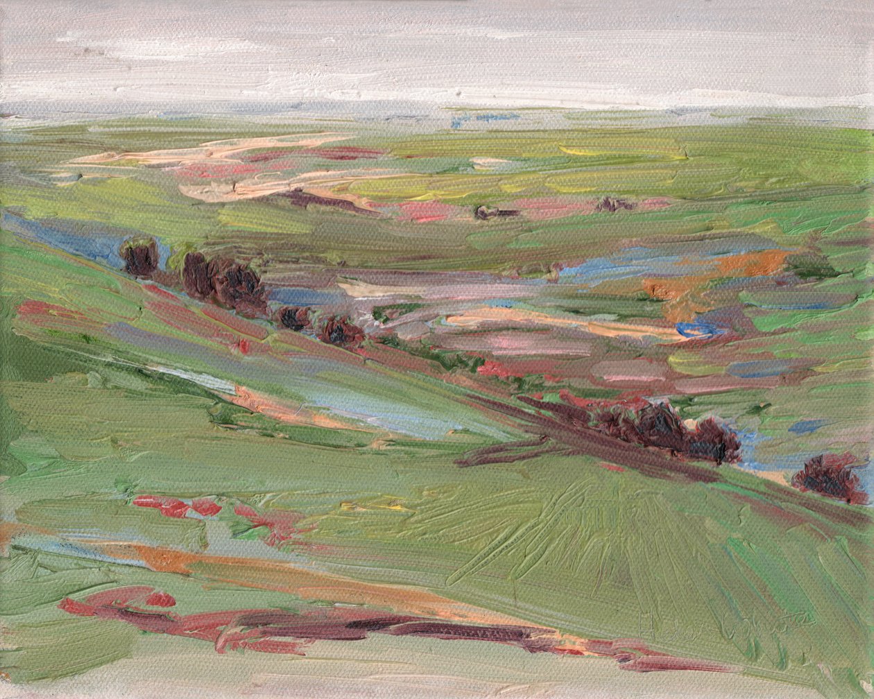 跨越山丘，2008 年 作者 海伦·怀特