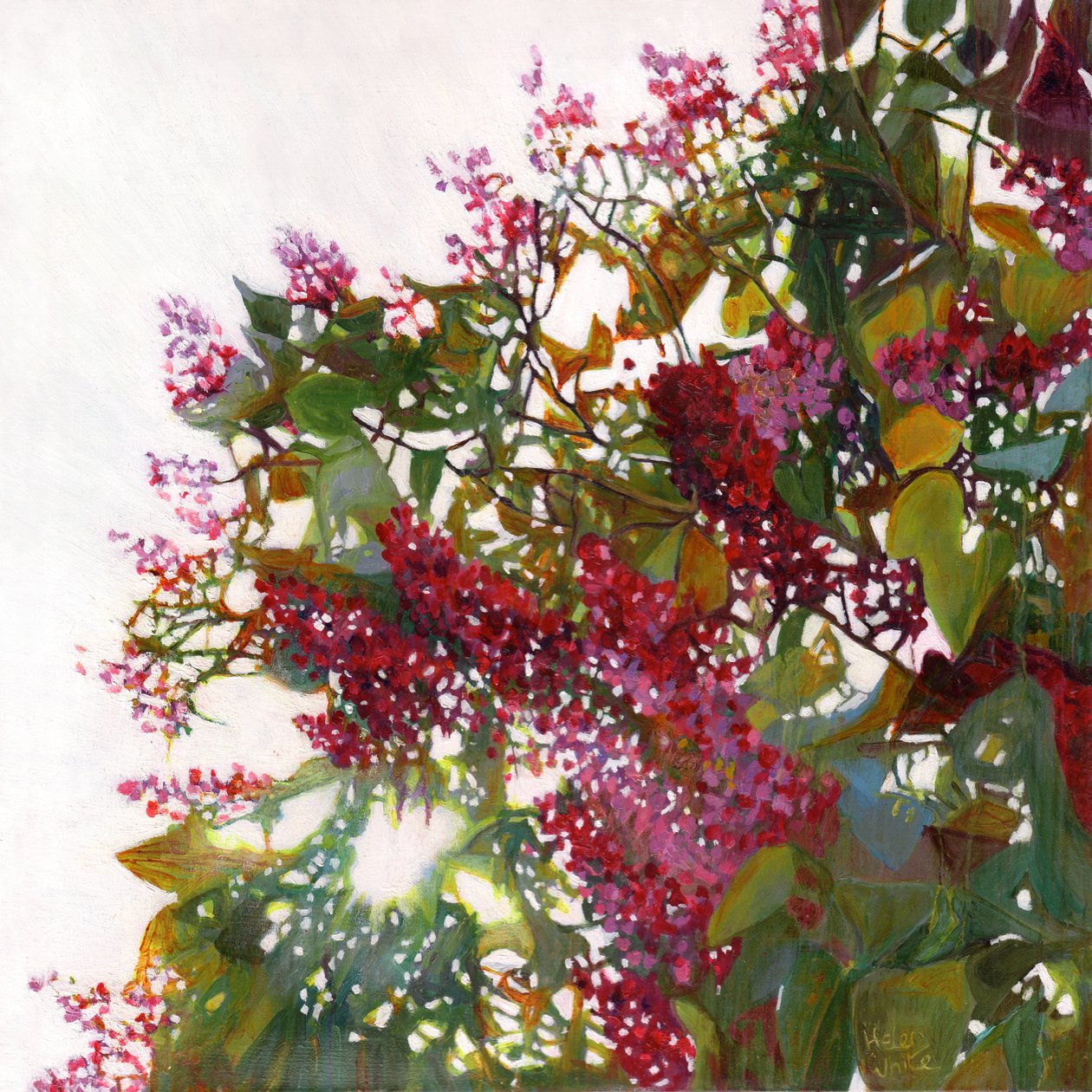 Aglow, 2015 作者 海伦·怀特