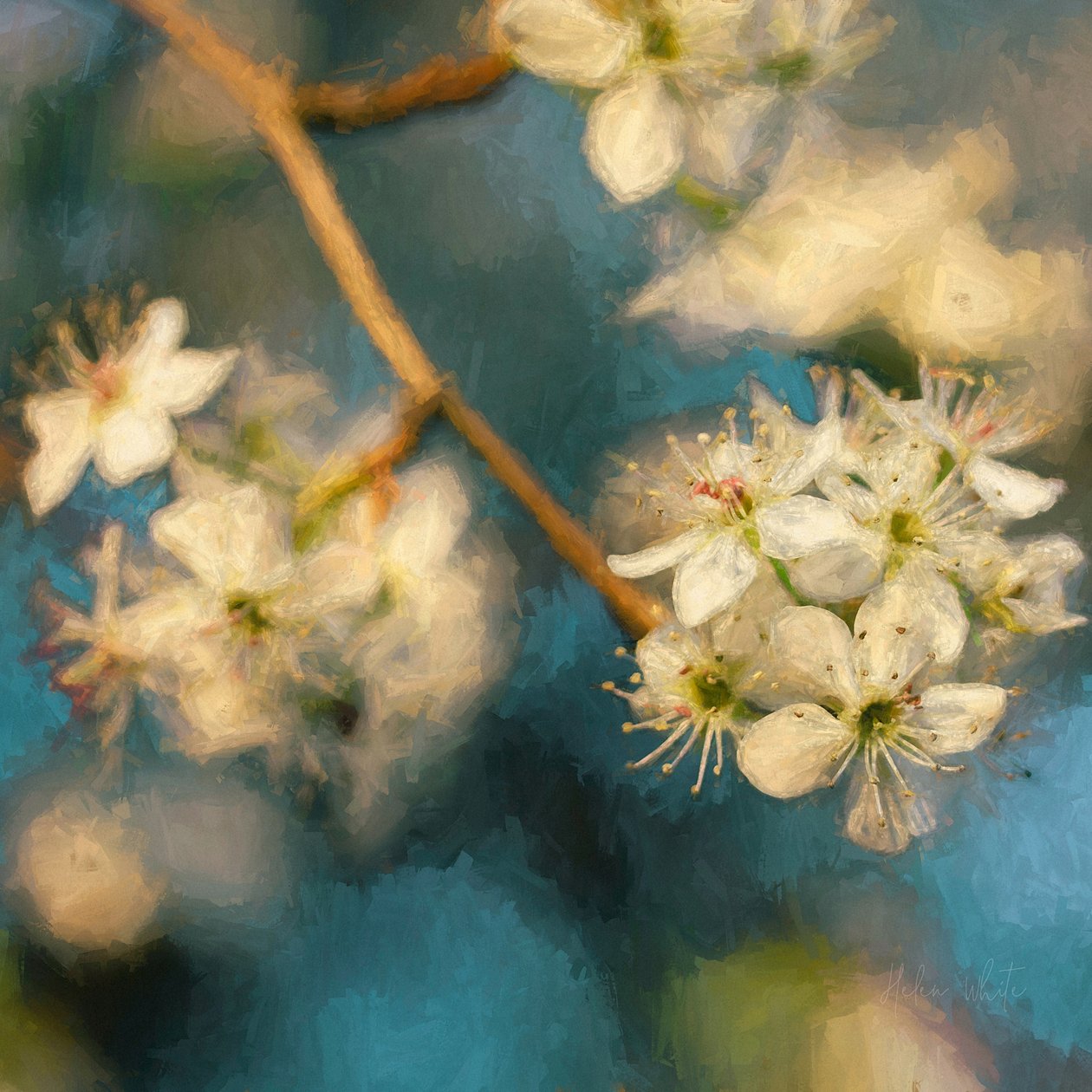 苹果花, 2019年 作者 海伦·怀特
