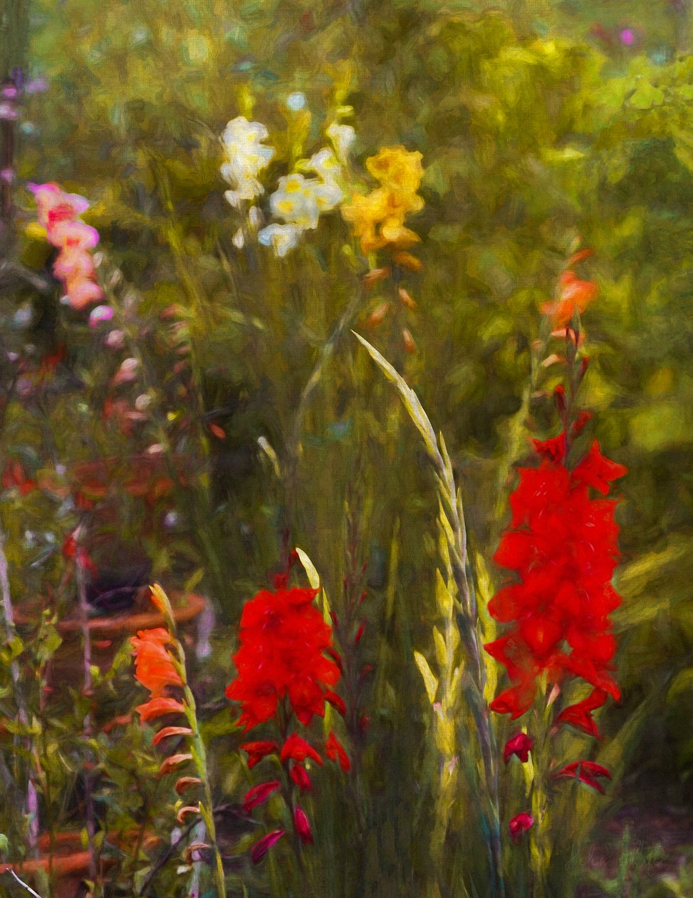 Beside the Potting Shed, 2020 作者 海伦·怀特