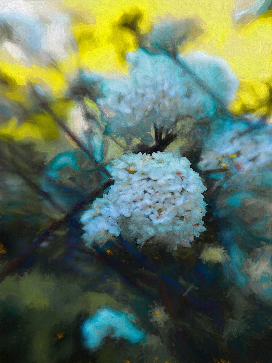 Blooming Maytime, 2019 作者 海伦·怀特