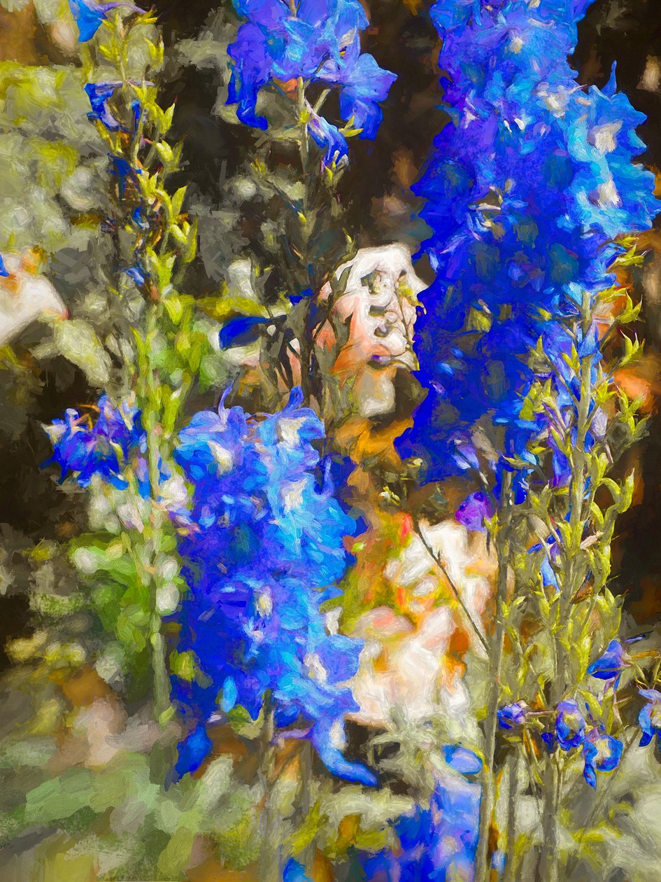 Blue Delphiniums, 2019 作者 海伦·怀特