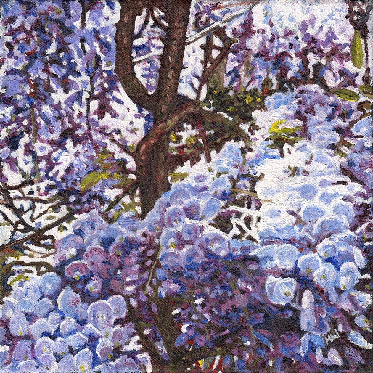 蓝色紫藤, 2012 作者 海伦·怀特