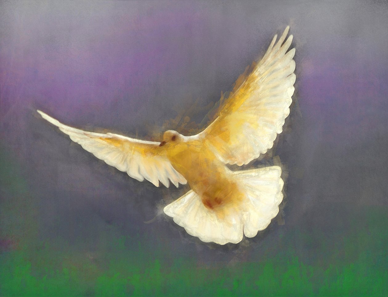 Bringer of Peace, 2019 作者 海伦·怀特