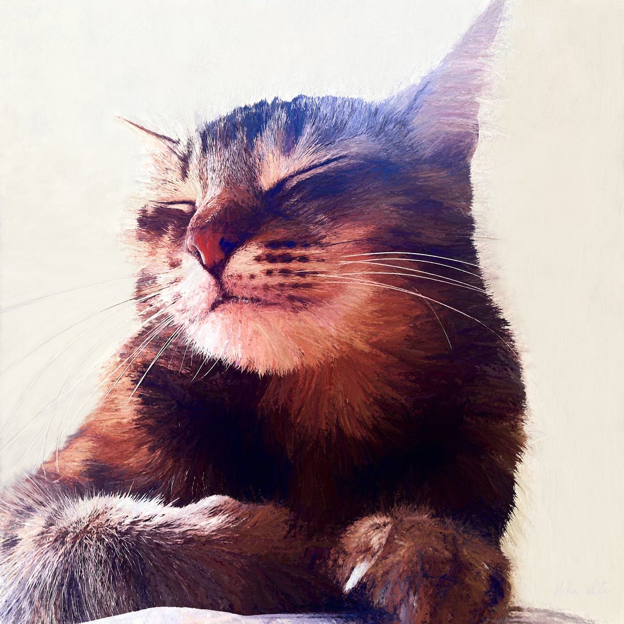 2018年 "奶油猫 作者 海伦·怀特