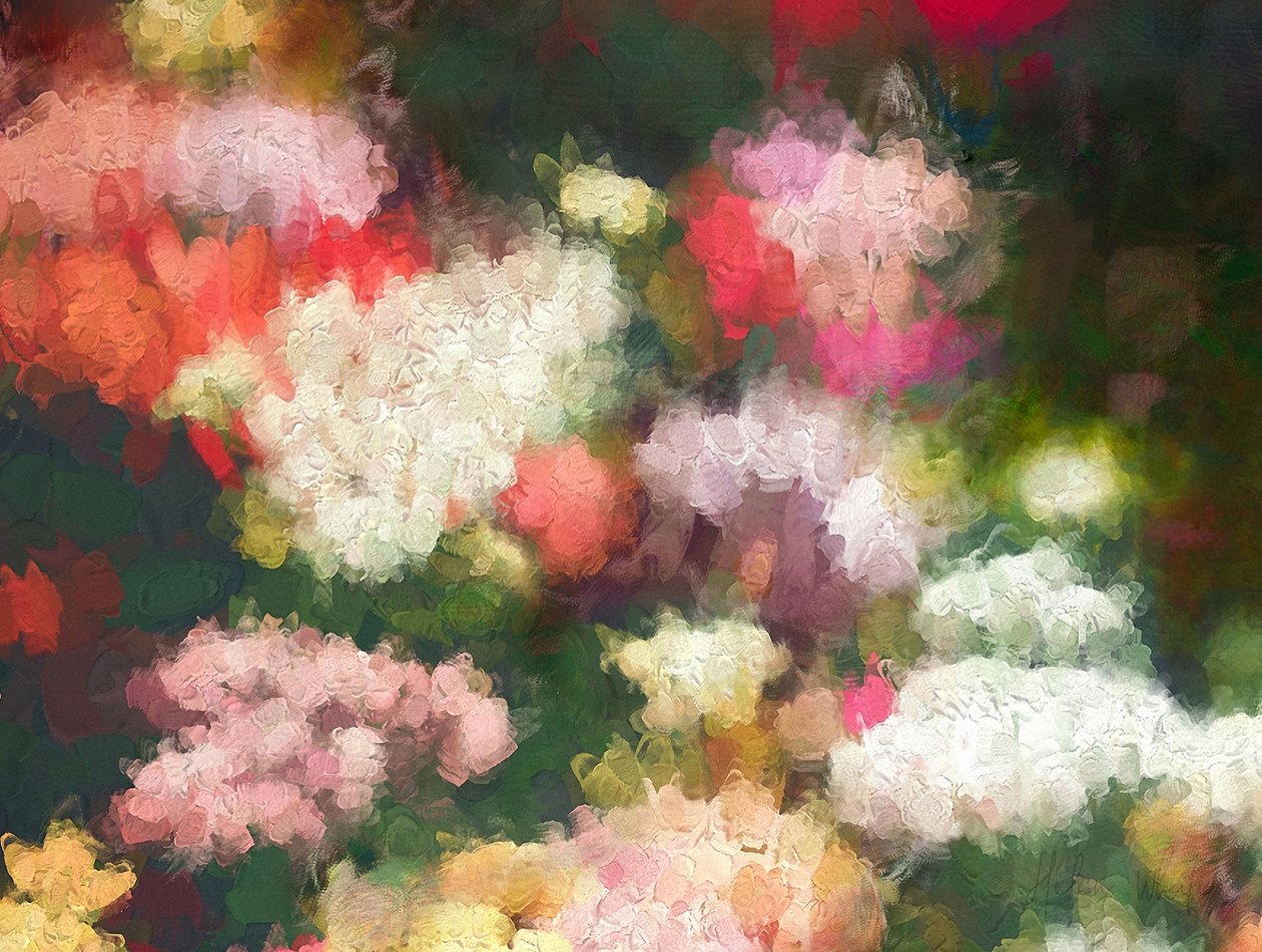 心灵花园, 2018 作者 海伦·怀特