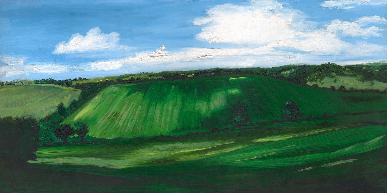 绿色宜人的土地, 2008 作者 海伦·怀特