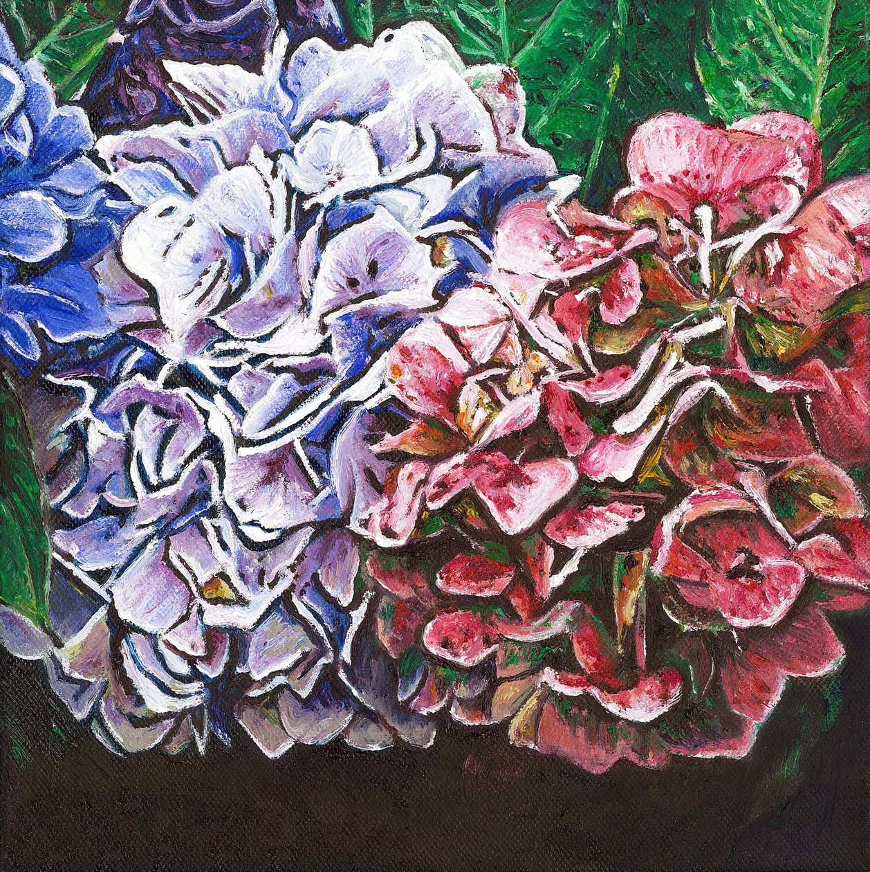 绣球花，2010， 作者 海伦·怀特