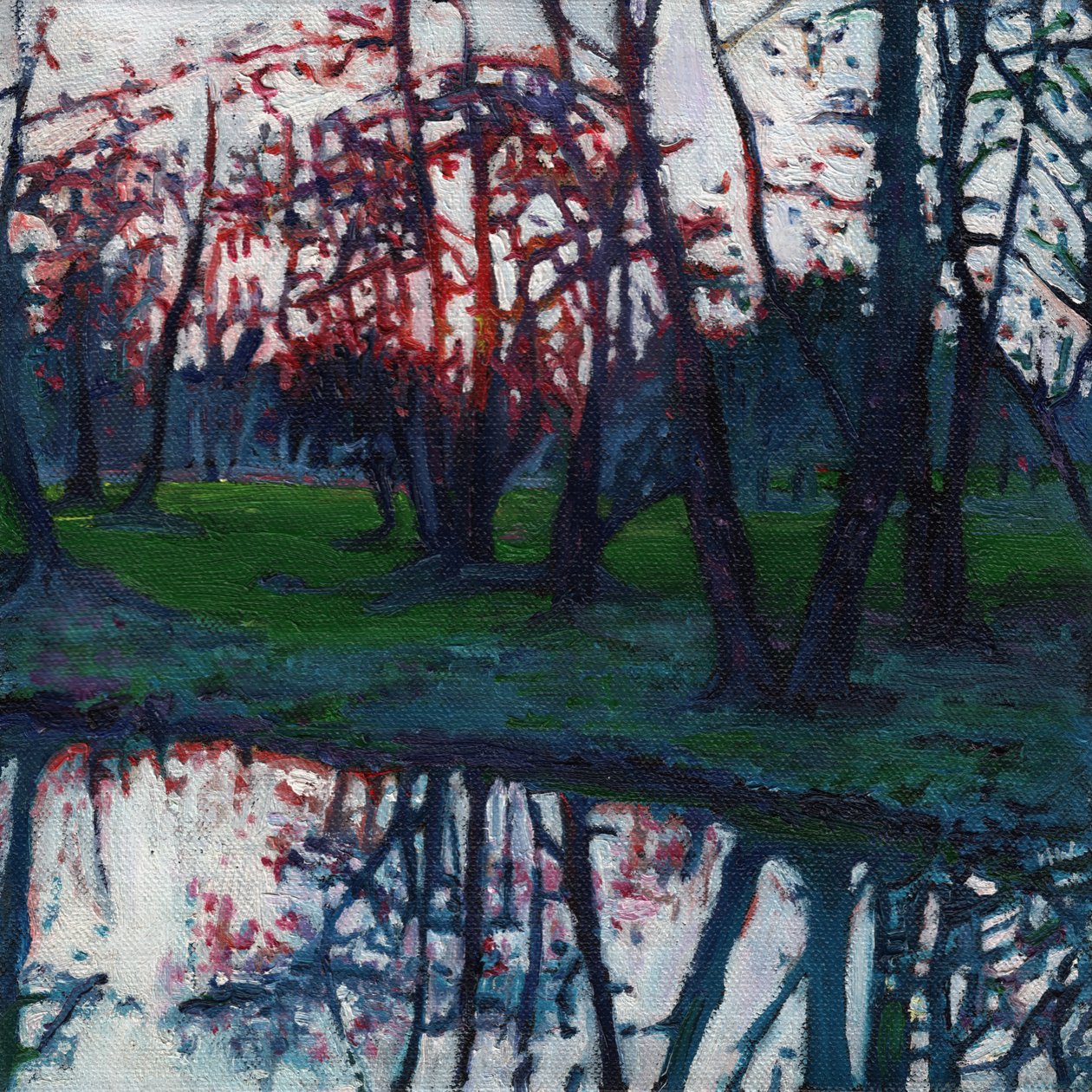 2009年，草地上最后的光芒， 作者 海伦·怀特
