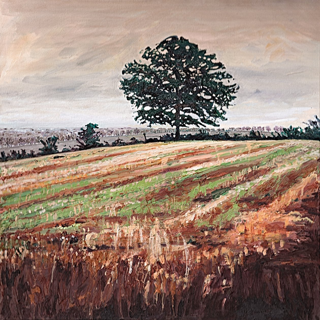 午后田野，2009 作者 海伦·怀特