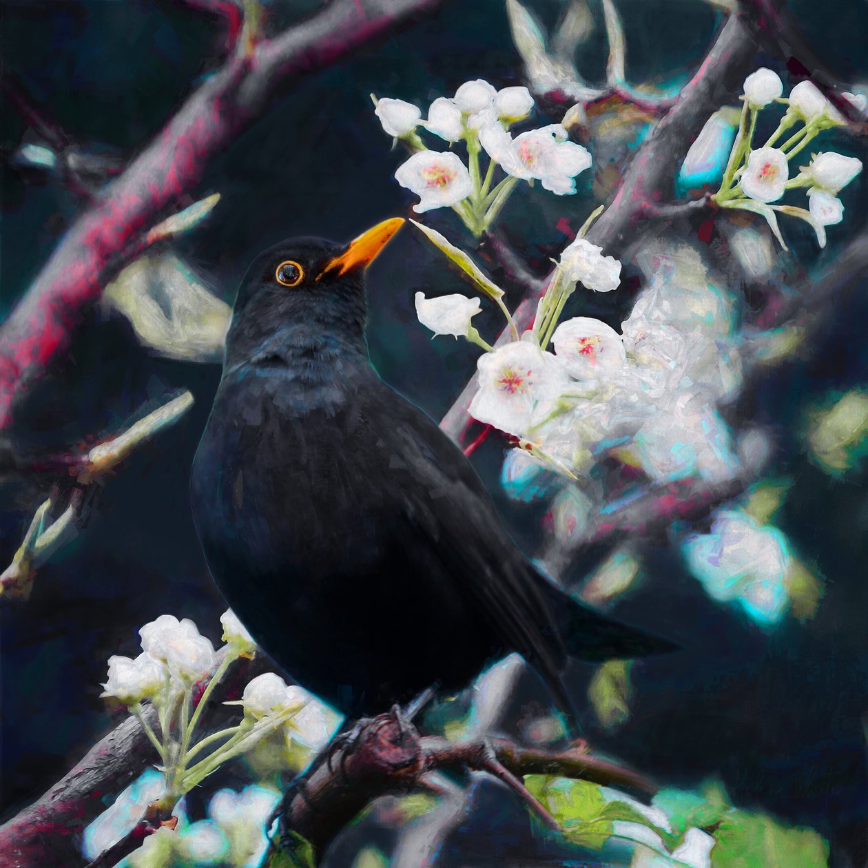 Lord of the Summer Song, 2019 作者 海伦·怀特