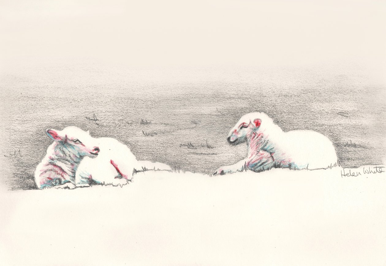 午睡，2016年，（铅笔画） 作者 海伦·怀特