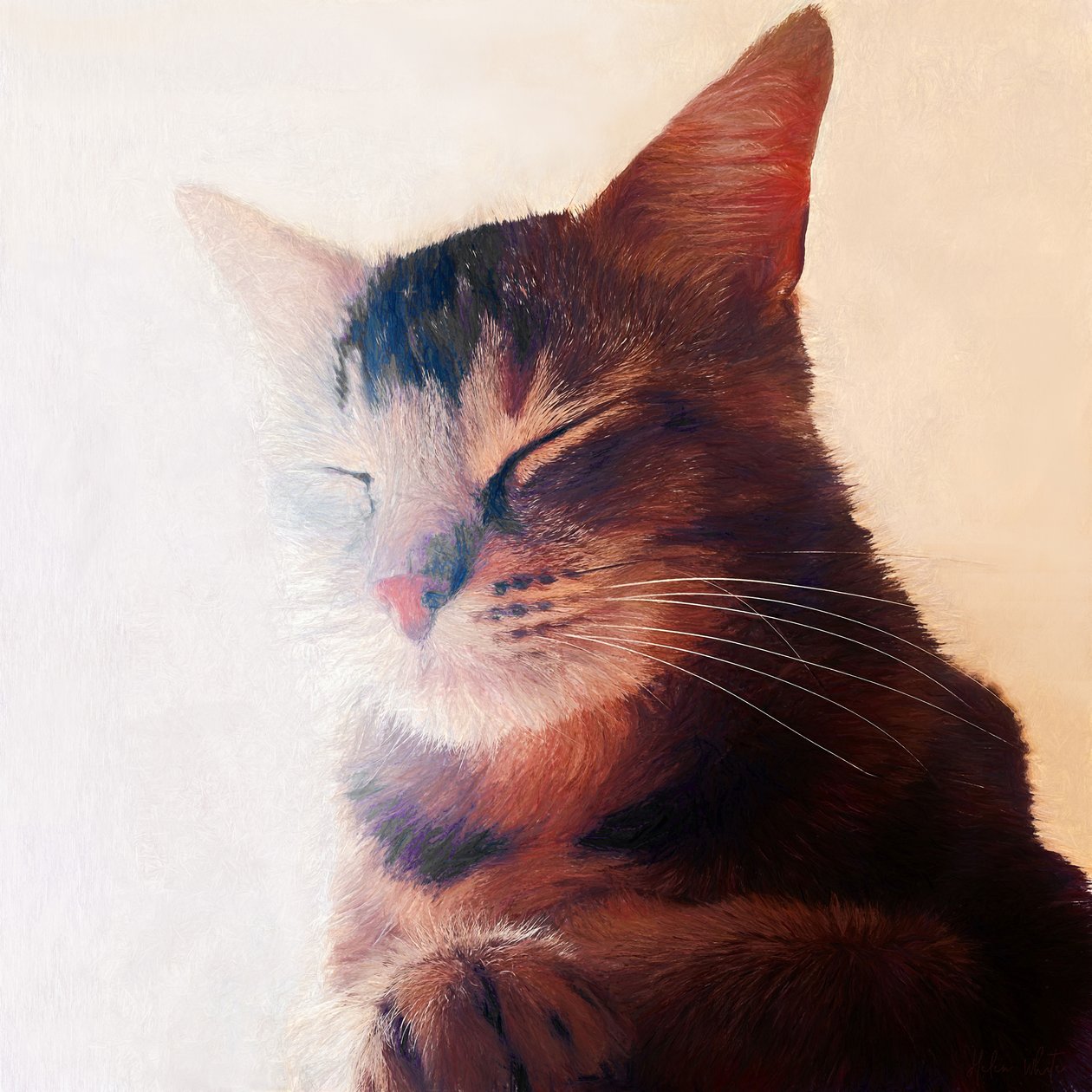 Purr-fect Spot, 2018 作者 海伦·怀特