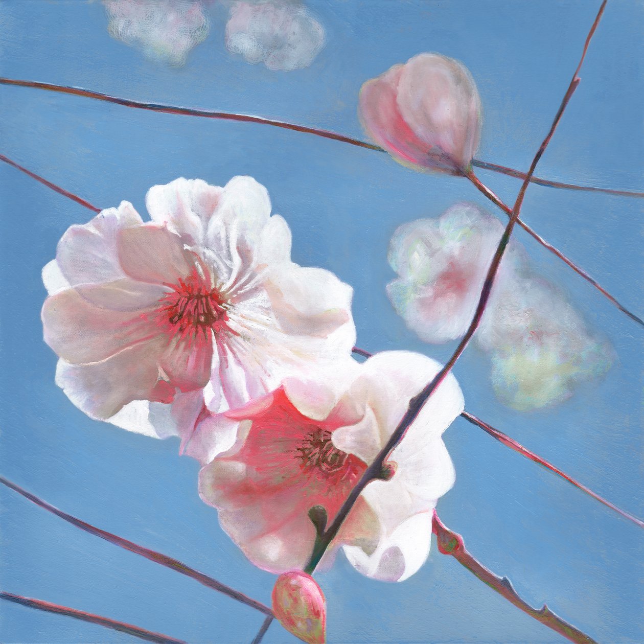 闪亮的起点，2015 作者 海伦·怀特