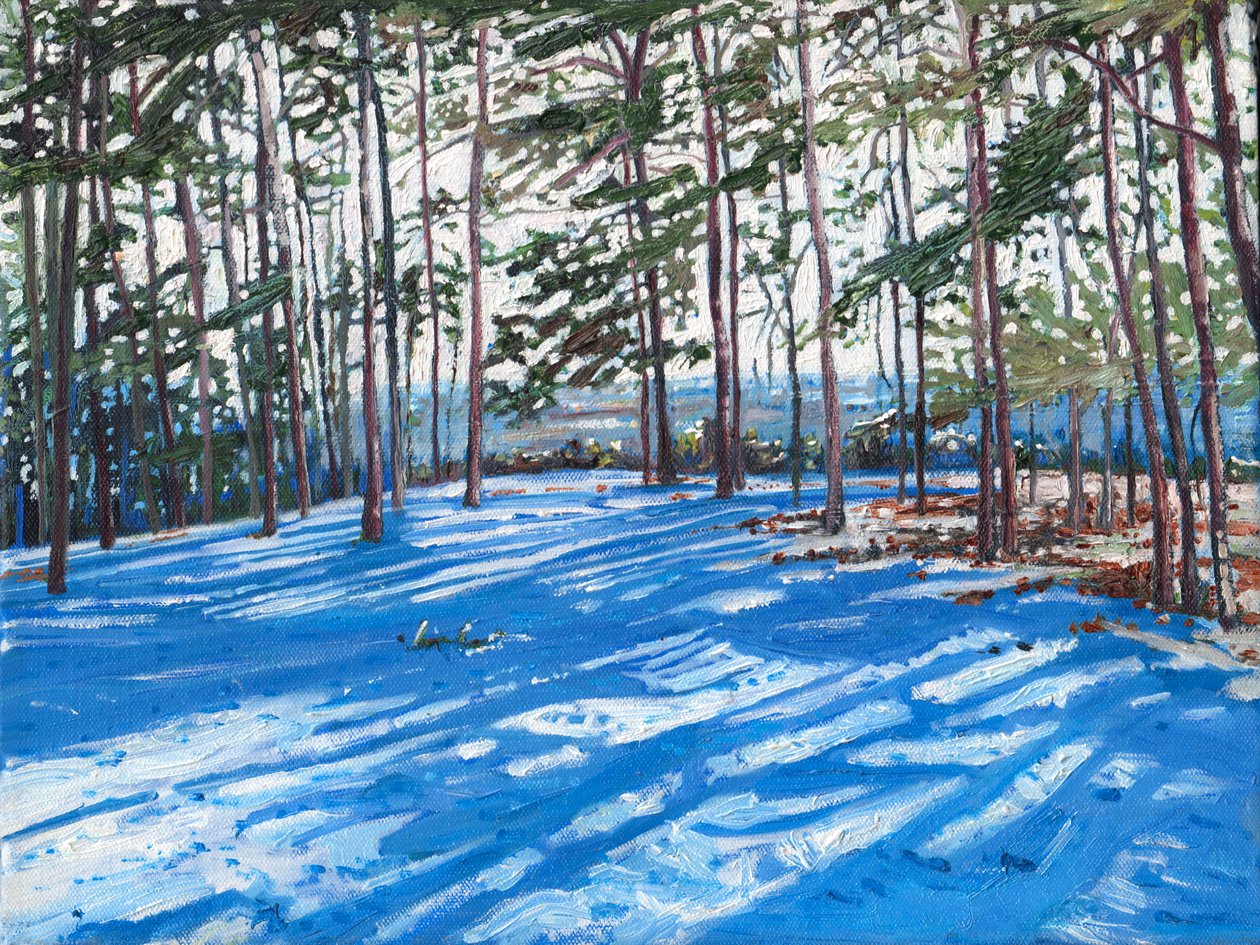 雪岭，2009 年 作者 海伦·怀特