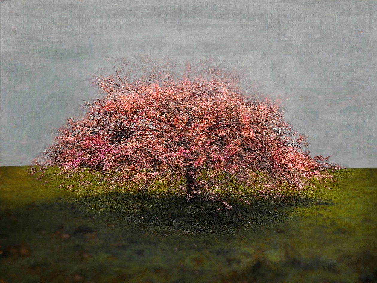 Stand Alone Beauty, 2019 作者 海伦·怀特