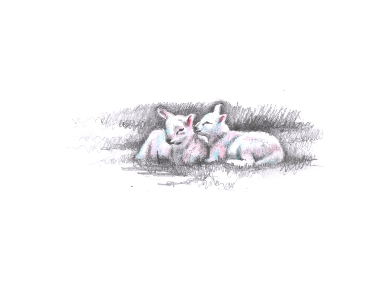 孪生，2016年，（铅笔画） 作者 海伦·怀特