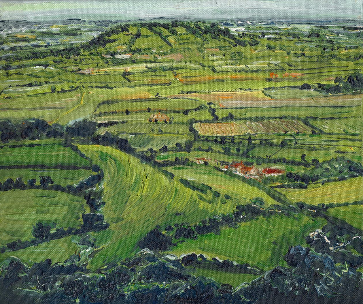 Tor II 景观，2008 年 作者 海伦·怀特