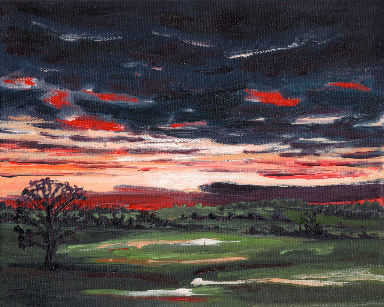 冬日夕阳，2008 年 作者 海伦·怀特