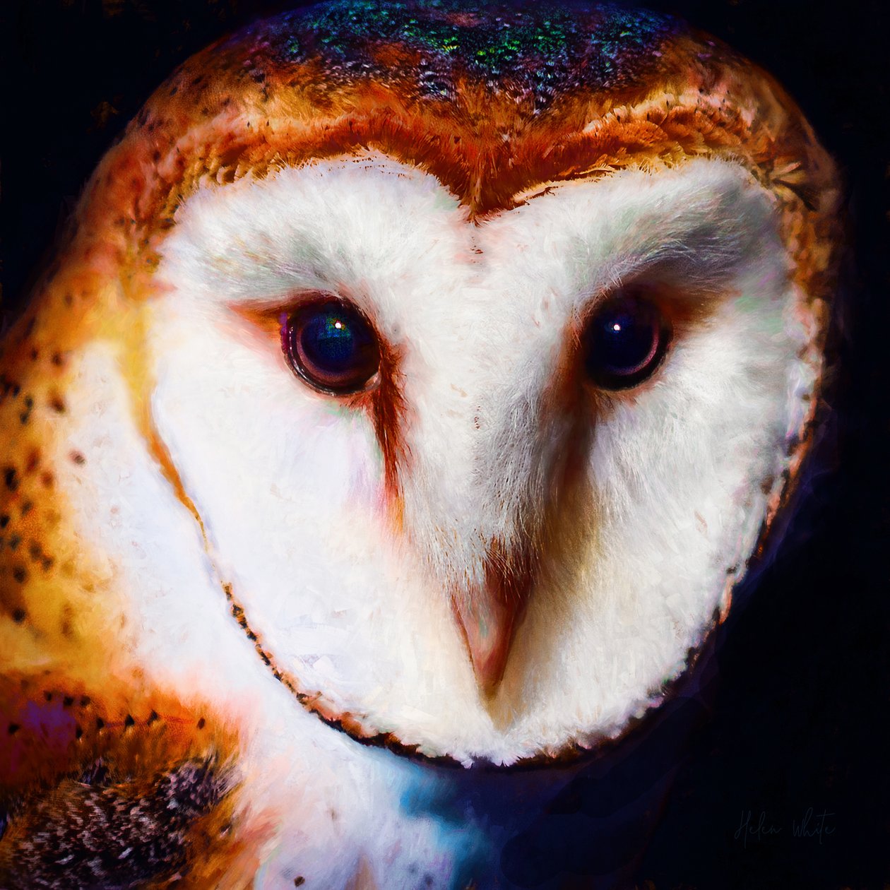 Wisdom in the Dark, 2019 (mixed media) 作者 海伦·怀特