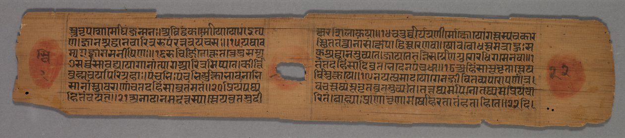 耆那教手稿中的一对双面叶子，1279年。 作者 Hemachandra