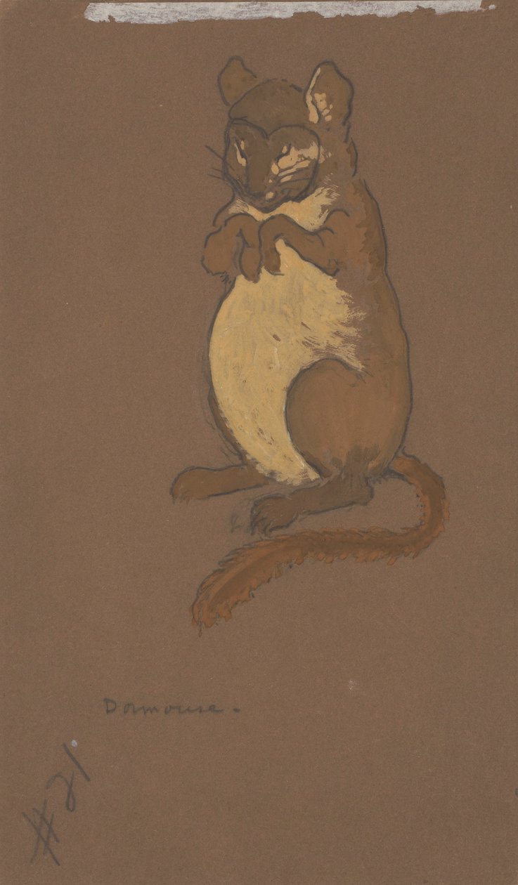 睡鼠（《爱丽丝梦游仙境》服装设计，1915 年） 作者 亨德森，威廉·彭哈洛