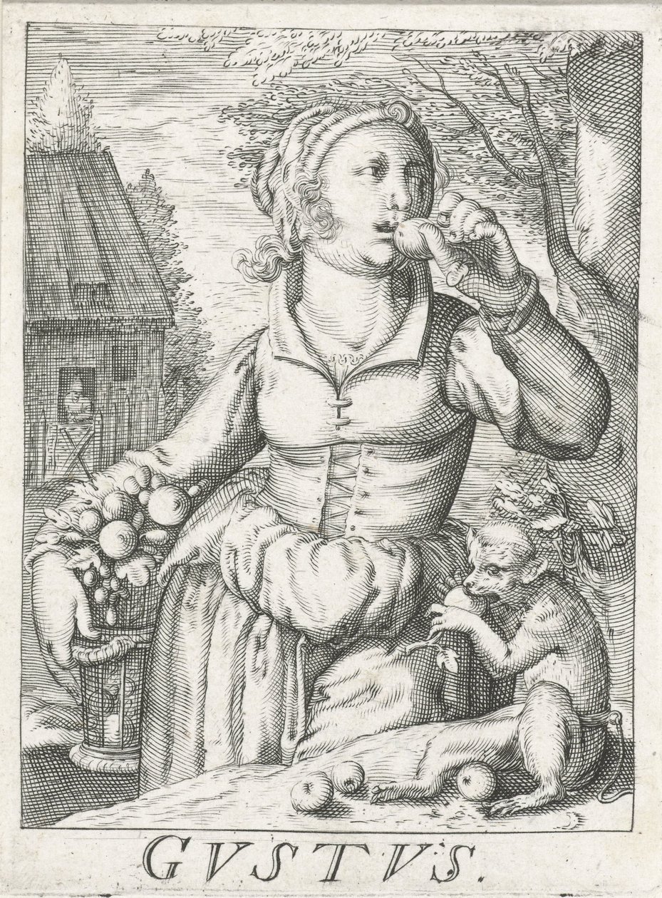 品尝（Gustus），一位端着水果的妇女
食神
五官（系列标题） 作者 Hendrick Hondius（拒绝归属）