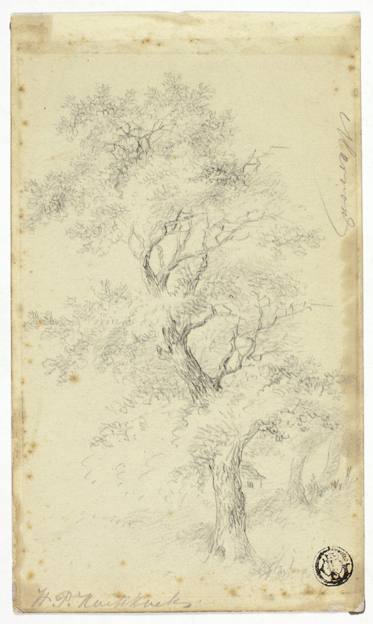 梅隆 作者 亨德里克·彼得·科克科克（Hendrik Pieter Koekkoek）
