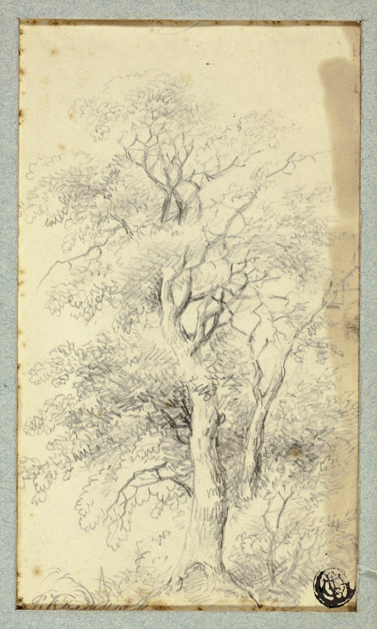 树 作者 亨德里克·彼得·科克科克（Hendrik Pieter Koekkoek）
